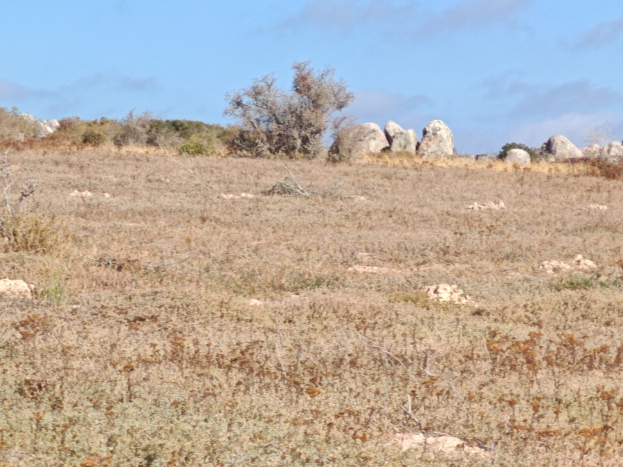 0 Bedroom Property for Sale in Langebaan Country Estate Western Cape